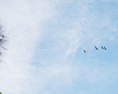 空