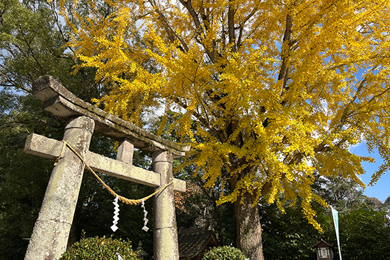諏訪神社
