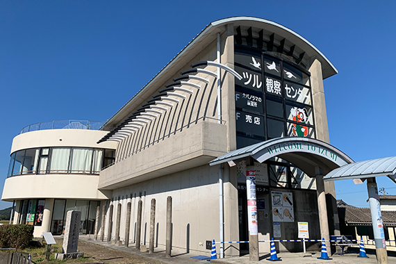 出水市ツル観察センター