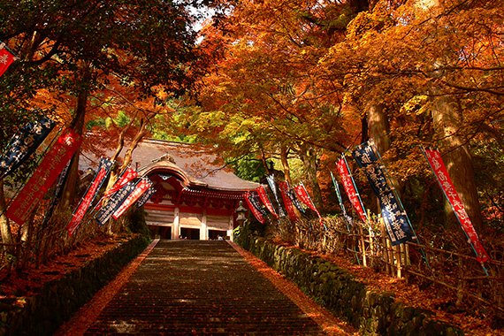 鰐淵寺