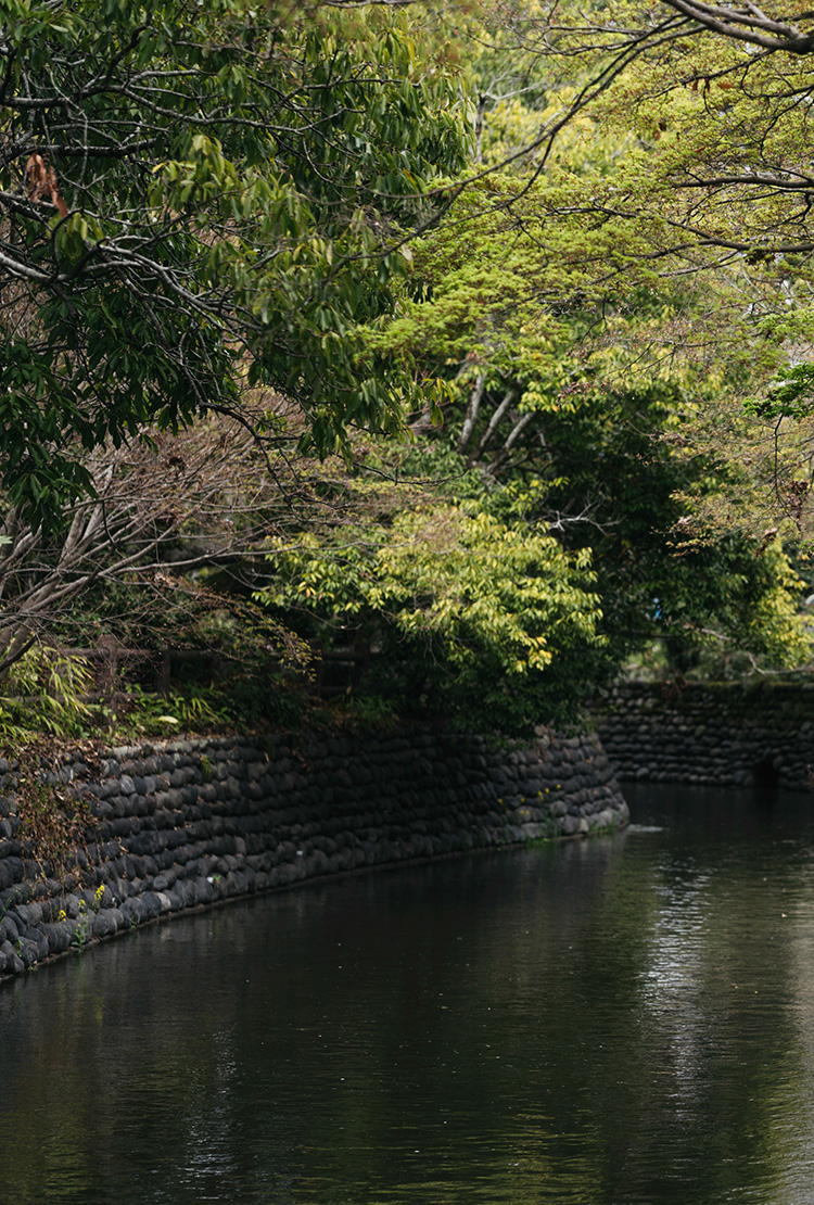 うきはの風景