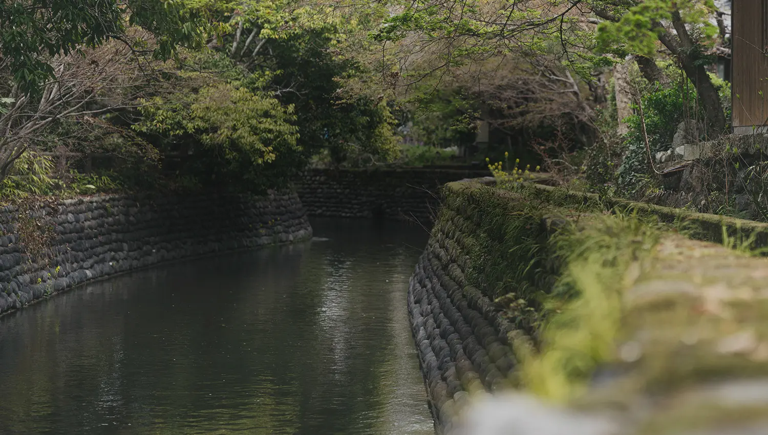 Ukiha