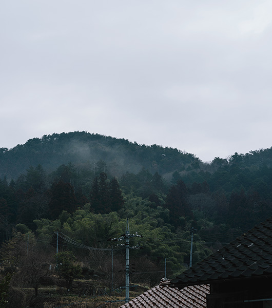 雲南吉田イメージ