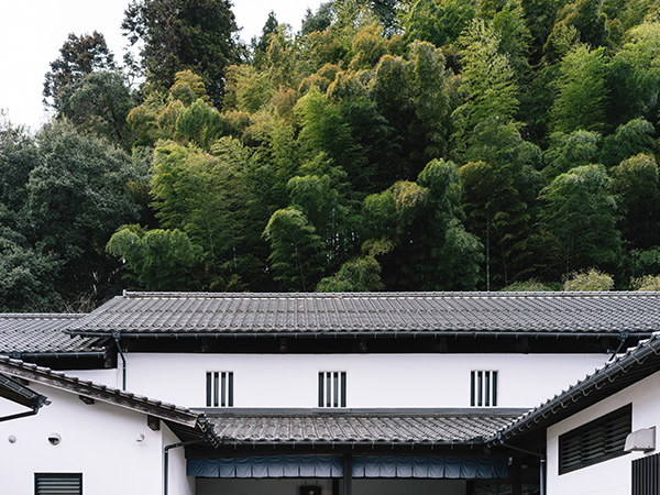 RITA 雲南吉田