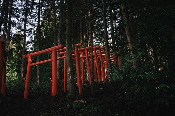 兎比神社（とひじんじゃ）