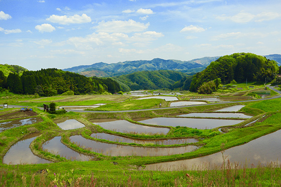 山王寺の棚田